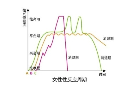 女生性平台期一般持续多久