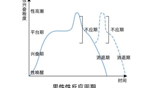男生高c的表现后是什么样 详解男性性反应周期