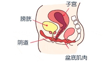 凯格尔运动会紧到几指