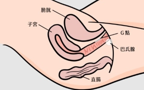 正确利用中指无名指，让你轻松找到G点