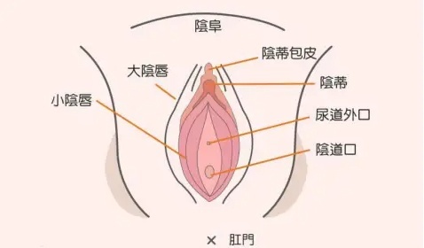 第一次大概在哪个位置