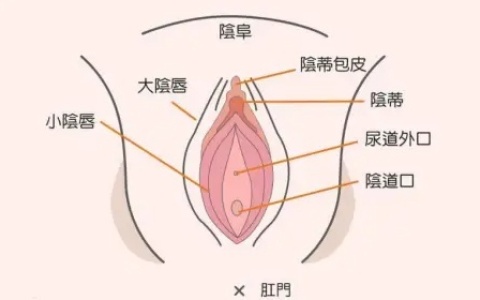 第一次大概在哪个位置