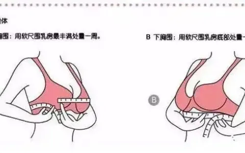 怎么准确测量自己胸罩ABCD
