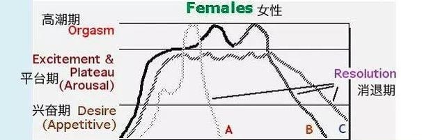 女生贤者模式是什么意思