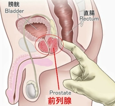 前列腺按摩器不知道怎么用 正确使用方法来了