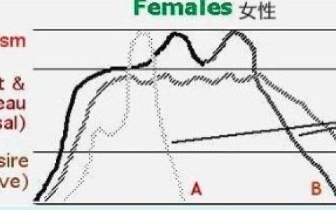 女生自己安慰会有贤者模式么