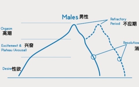 不应期是大脑为了保护自己吗