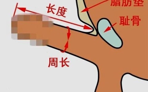 量丁丁是从上面还是侧面
