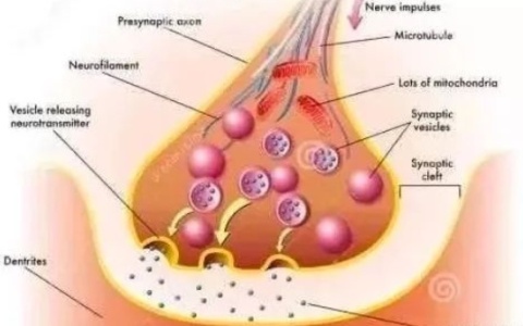 手冲过度的危害不容小觑