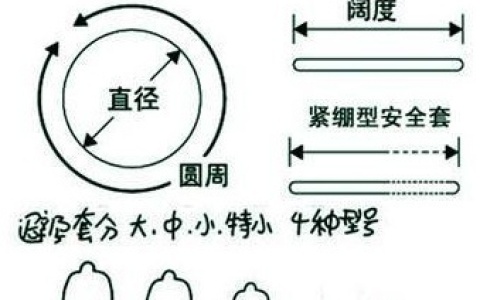 教你套套怎么看型号 怎么正确测量