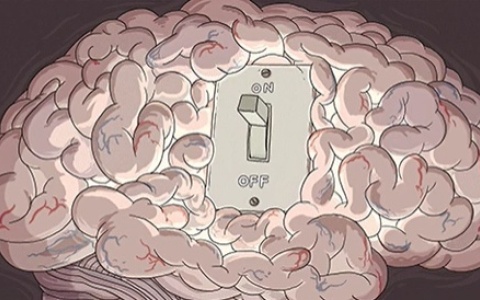 多巴胺是从哪里分泌出来的