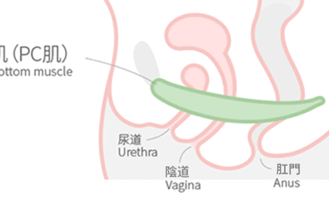 据说喜欢运动的男生那方面能力更强