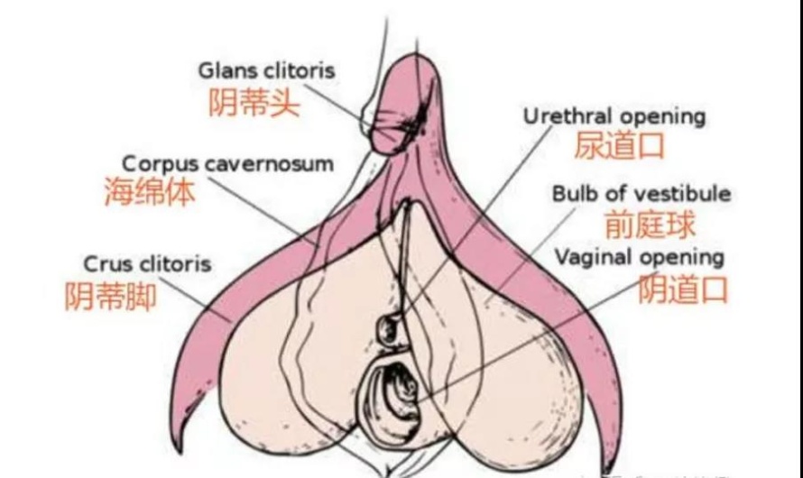 女人年龄越需求越大水越多？