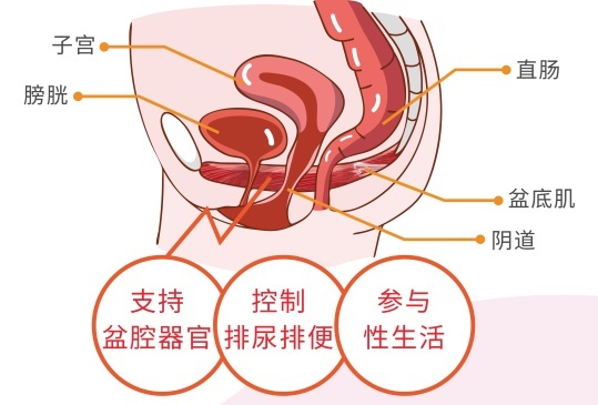 女性三道门是哪三道