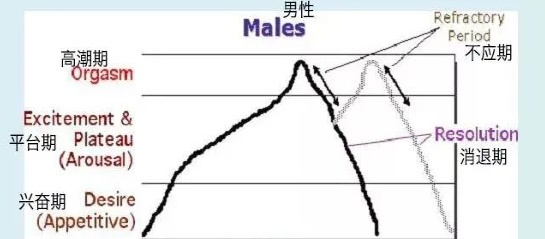 男人的圣贤时刻什么意思