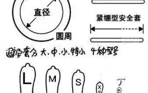 L码的避孕套有多大