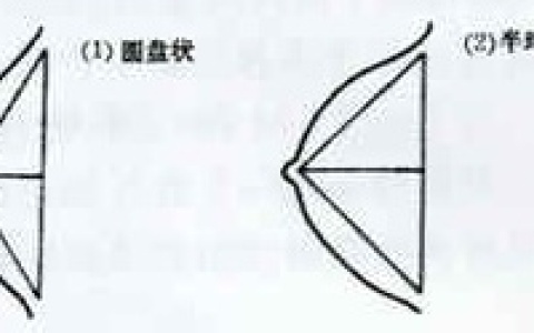 怎样区分圆盘还是半球胸