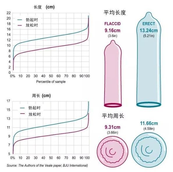 男生那个一般多长才正常