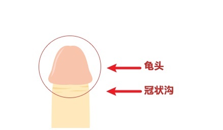 印度神油具体喷哪个部位