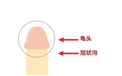 印度神油具体喷哪个部位