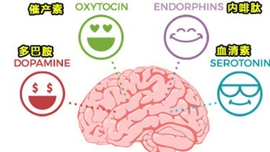 多巴胺和内啡肽怎么分泌