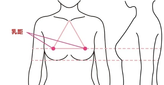 乳距怎么正确测量（附图片）