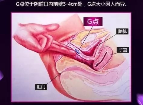 女生的G点到底在哪里？真的有助于G潮？