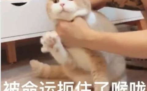 性窒息算是“精神疾病”吗