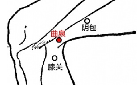按曲泉真的可以提高男性功能吗