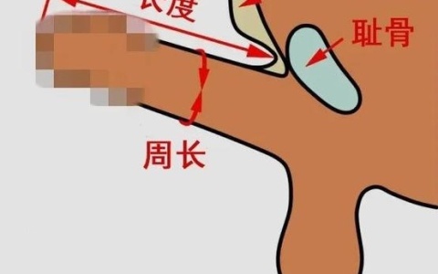 如何正确测量DD长度和粗度