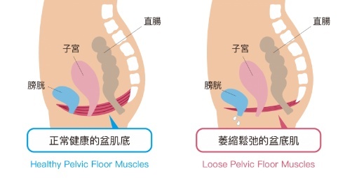 性能力的好坏，原来跟这块肌肉有关！