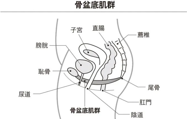 下面松弛想变紧，可以用这2个方法来锻炼！