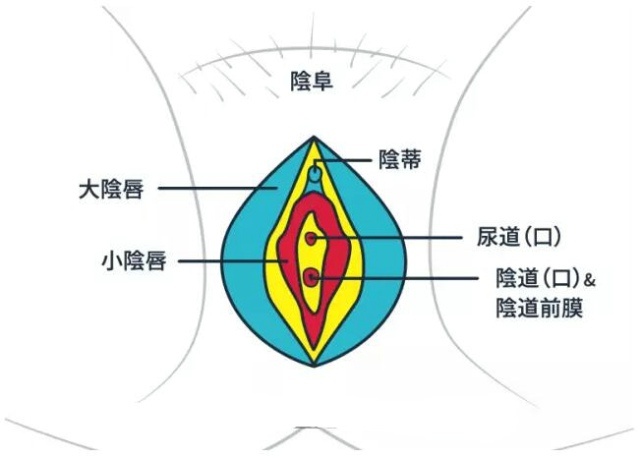 学会这样揉豆豆，能让妹汁Hi到腿软！