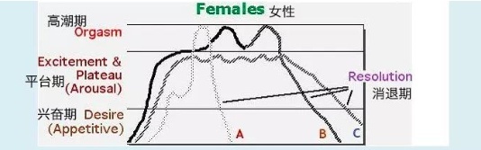 女人贤者模式一般有多久