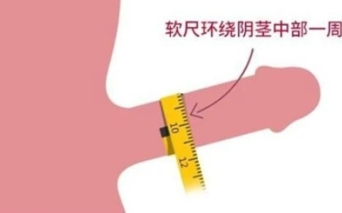 丁丁怎么量粗度（附图）