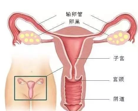 越长、越深、越久，她越舒服？