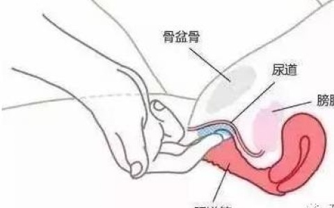 搞懂AUG，才会让女生更好的获得巅峰！