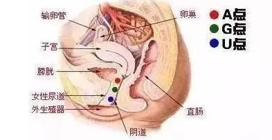 搞懂AUG，才会让女生更好的获得巅峰！