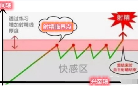 寸止延时训练真的有用吗