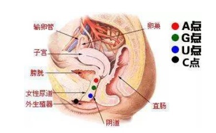 AUG指的是女人什么的巅峰状态