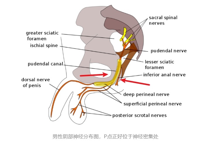 男人前高不存在？完全是胡扯？