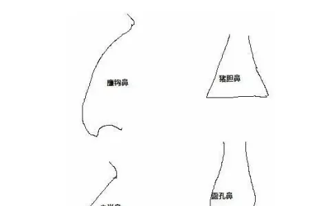 鼻子挺拔的男人那方面也很厉害吗