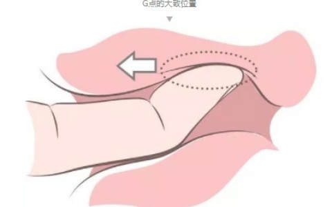 学会这个方法，你也能达到内高！