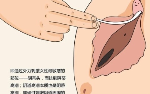 浅聊女性之阴道/蒂高潮