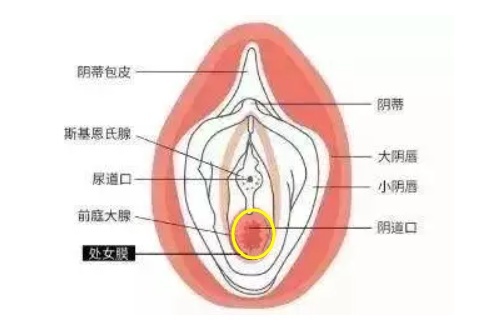 行房找不到位置怎么办