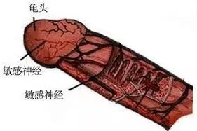 敏感？时间短？其实你可以更久一点……