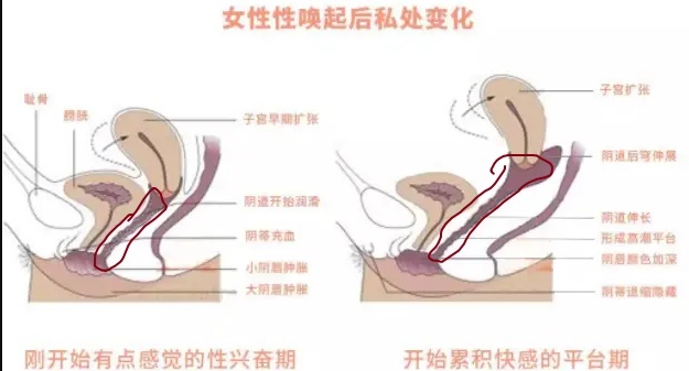 20多cm能不能到子宫口