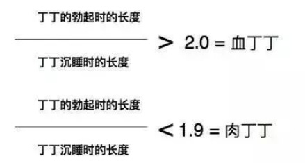 有的叮叮明明看着很小变身后却很大