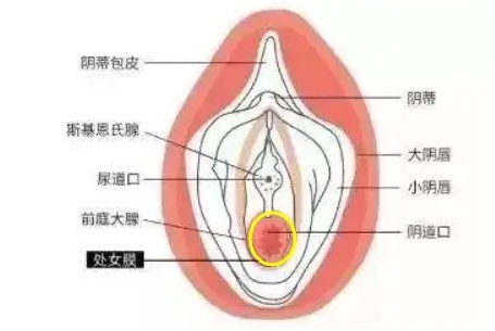 正确的进入位置，居然有人一次没对！