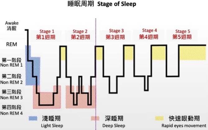 为啥男生早上更容易支起“小帐篷”